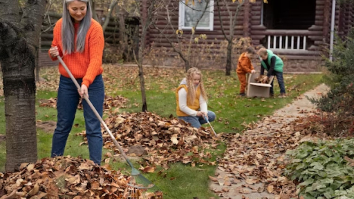 What are the Signs that Your Landscape Needs Urgent Fall Cleanup Attention?