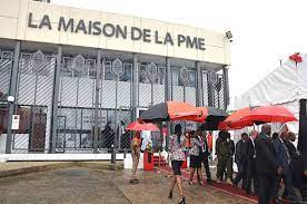 Driving Economic Growth: The Role of Enterprises in Cameroon