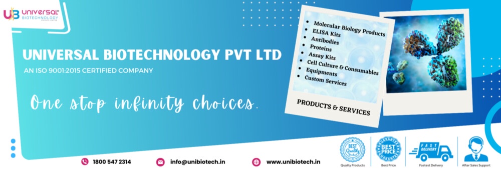 How To Check The Reliability Of Antibodies In Labs?