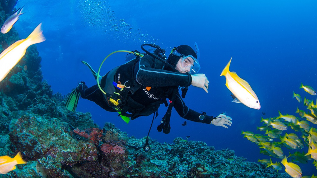 Dive Deep or Return Home: Mallorca's Most Outrageous Diving Difficulties!