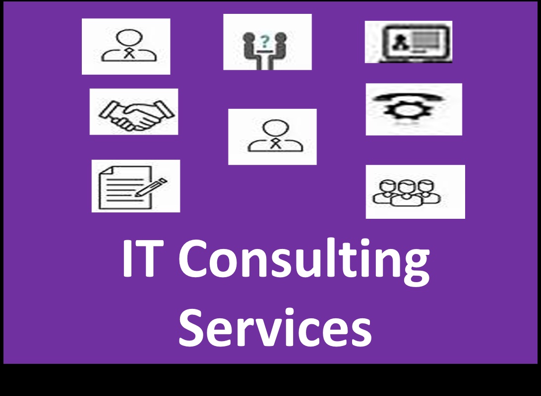 "Empowering Your Business with Expert IT Consultation Services"