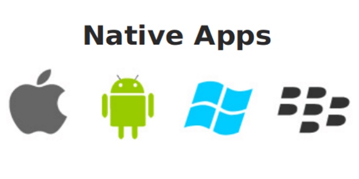 "Elevate Your iOS Experience: Native iOS App Development by  Technothinksup Solutions"