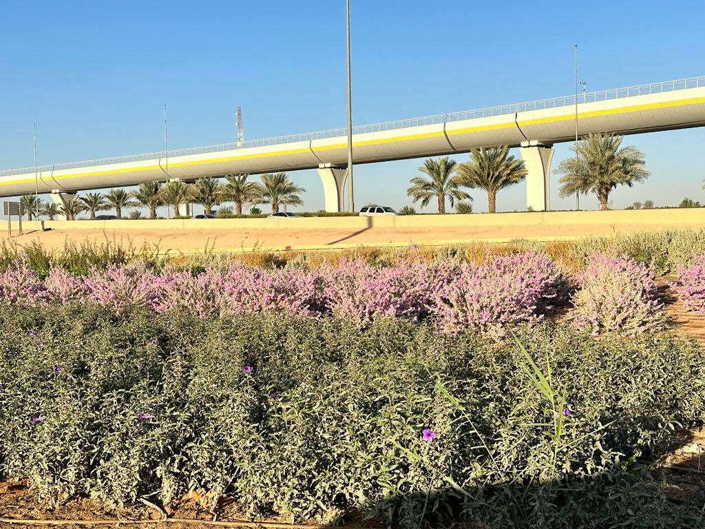Key Factors to Consider When Hiring a Landscape Company in Riyadh