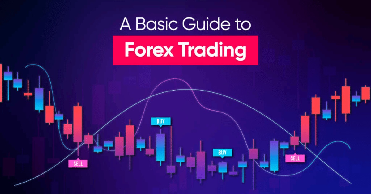 A Basic Guide to Forex Trading