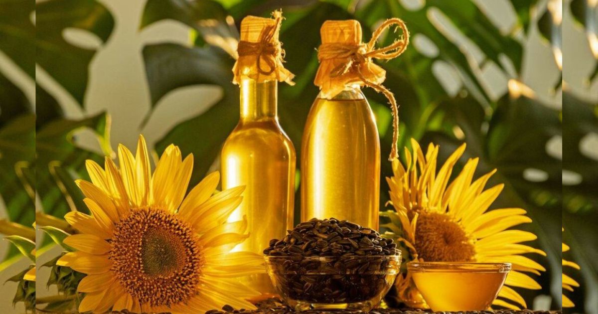 High-Oleic vs. Regular Sunflower Oil: Which One is Right for You?