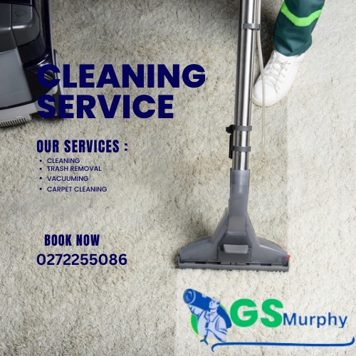 Enhance Your Home's Appeal with Professional Carpet Cleaning in Westmead