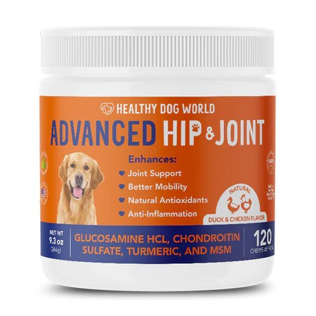 Choosing the Right Arthritis Supplements for Your Dog!