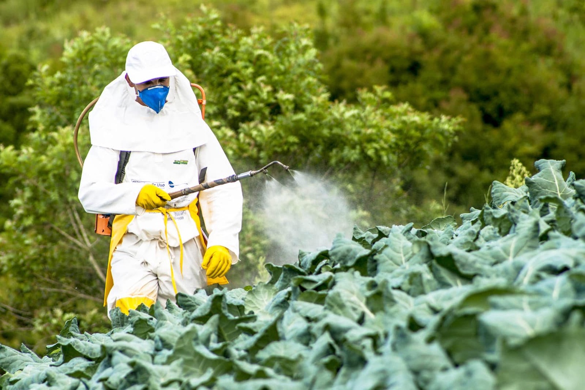 Making Your Way Through Malaysia's Pesticide Product Landscape