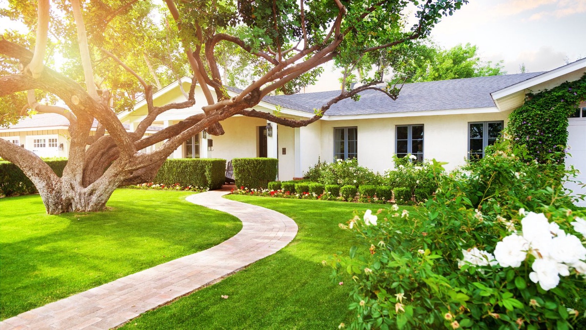 Dealing with Patchy Grass: Tips for Achieving a Lush, Uniform Lawn