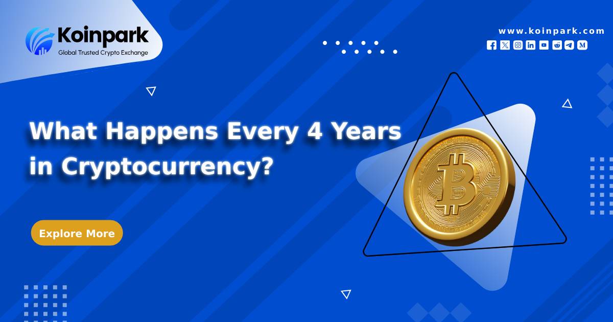 What Happens Every 4 Years in Cryptocurrency?