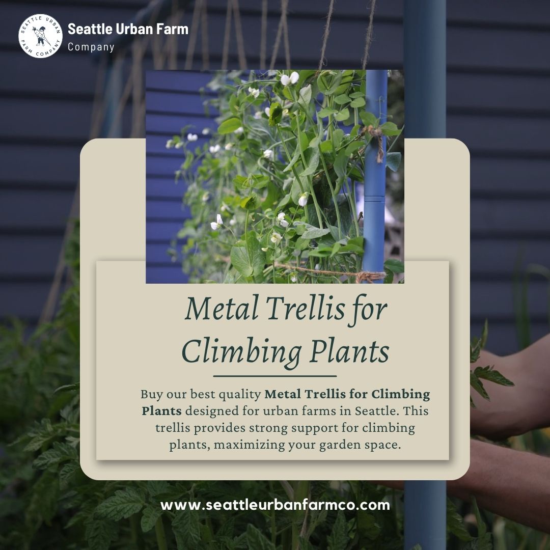 Shop Metal Trellis for Climbing Plants