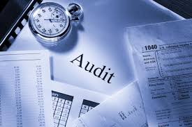 Navigating Regulatory Terrain: Audit Firm Support in Dubai