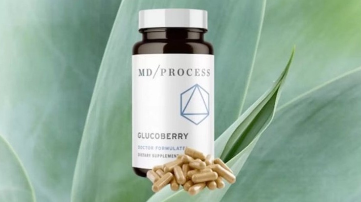 GlucoBerry Reviews (2024 Exposed) - Does It Control Your Blood Sugar Level?