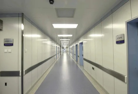 Creating a Sterile Environment: A Guide to Cleanroom Wall Panels