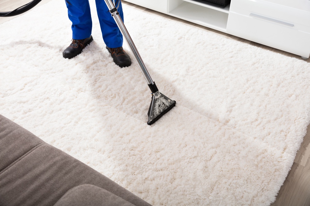 Revitalize Your Home: The Ultimate Guide to Upholstery and Area Rug Cleaning in Oakville