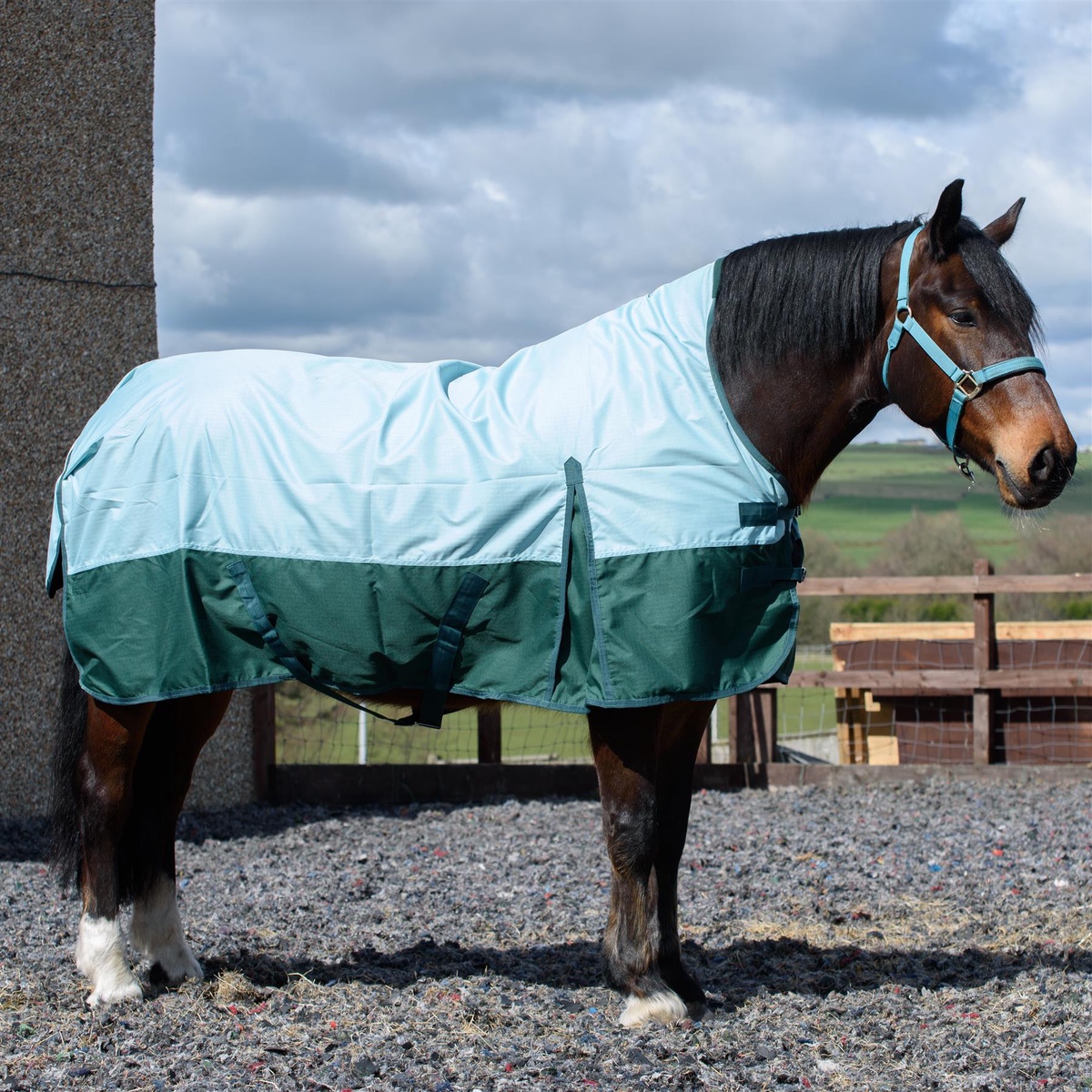 Essential Guide: Caring for and Washing Your 6ft Turnout Rug