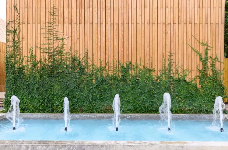"Unwind in Nature: How to Design a Calming Backyard Retreat"