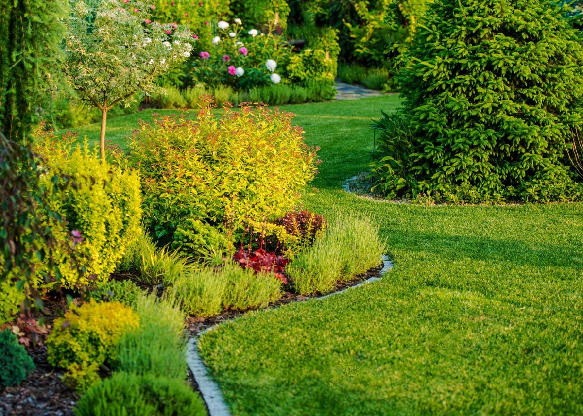 Getting Your Lawn Started Right