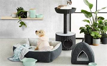 Pet Accessories: Enhancing Comfort, Style, and Well-being