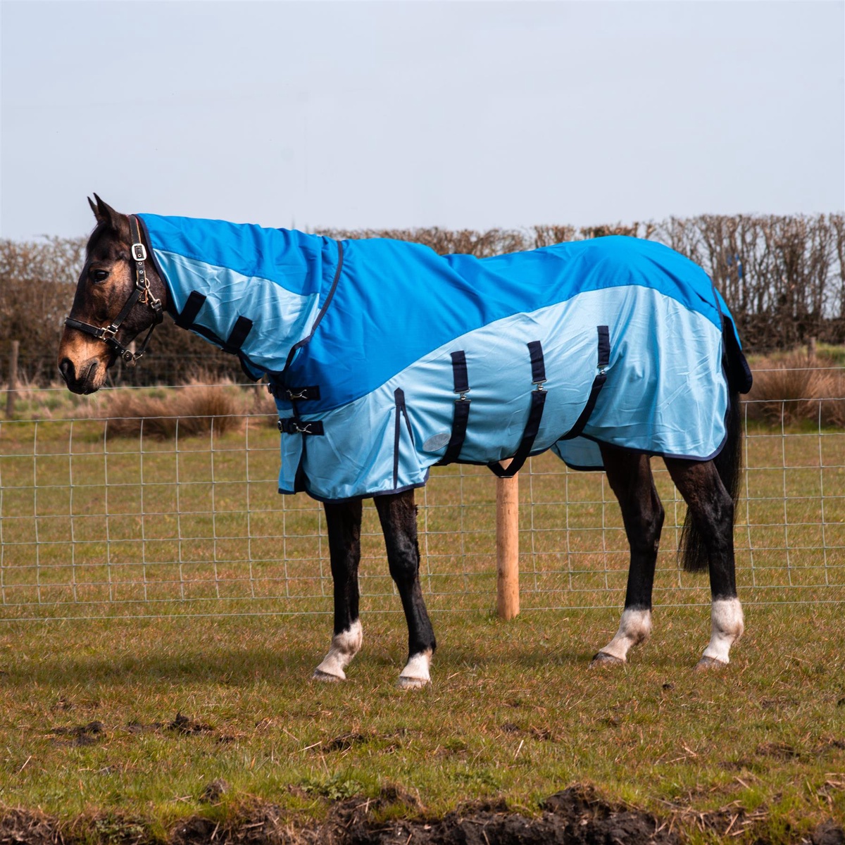 How Important is Turnout Rug Denier (Fabric Strength) for a Lightweight Option?