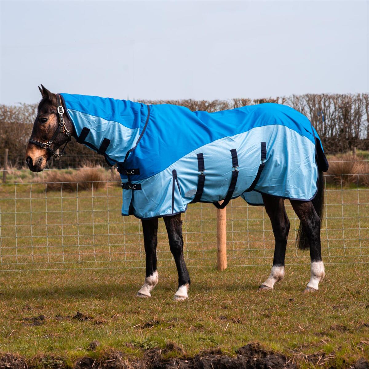 How Important is Turnout Rug Denier (Fabric Strength) for a Lightweight Option?