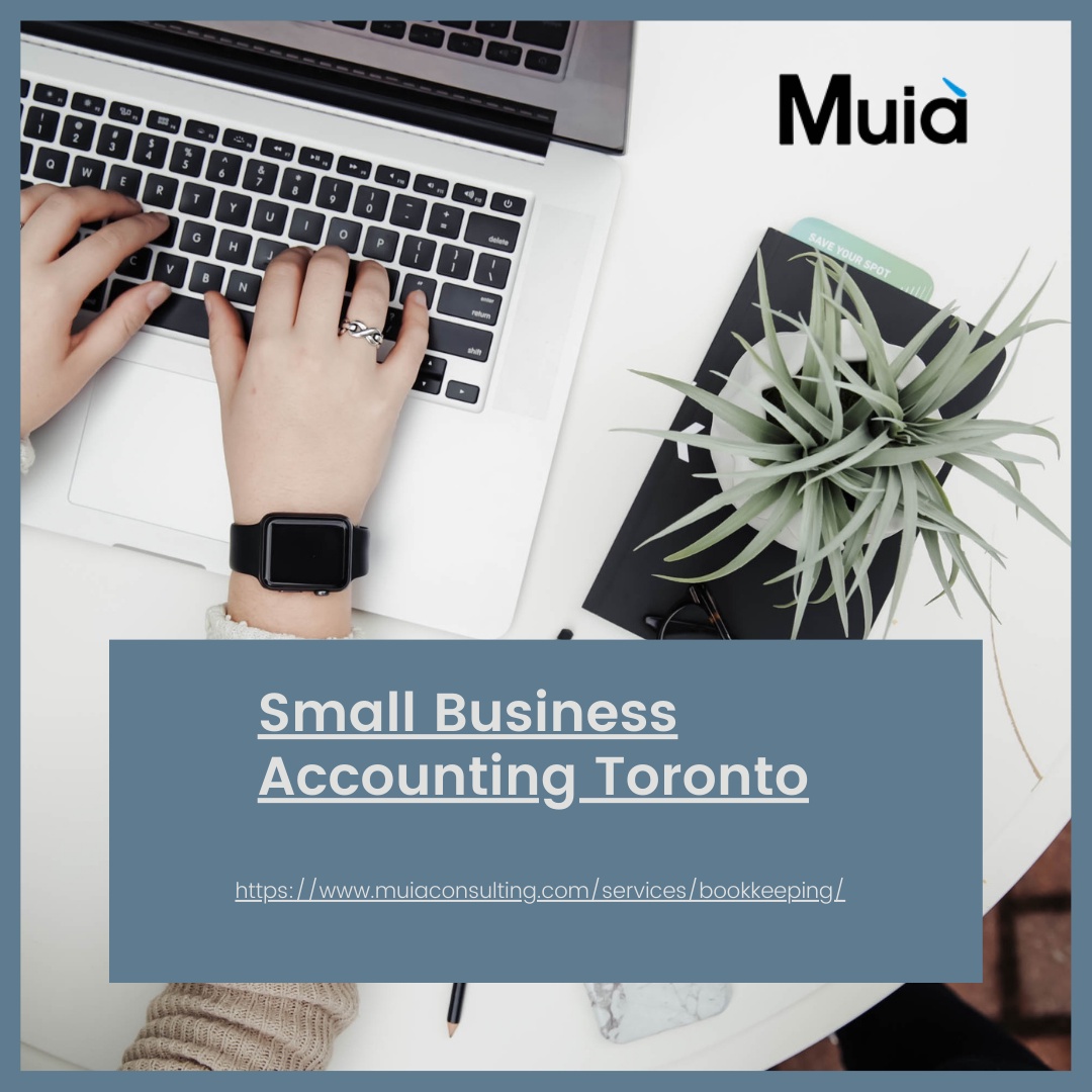 Benefits of Small Business Accounting in Toronto