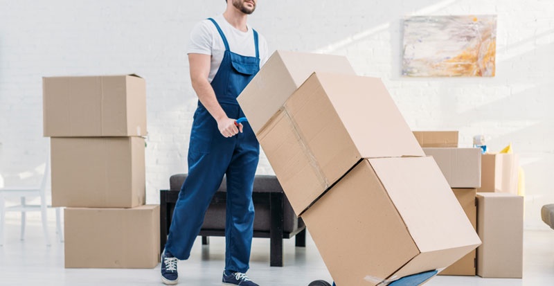 The Role of Professional Movers in Streamlining Your Home Relocation