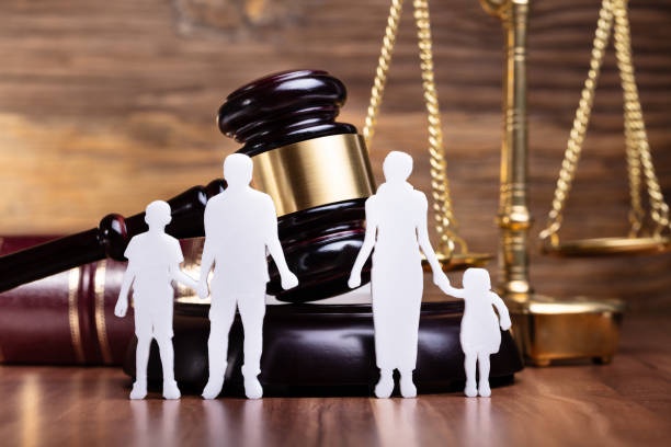 Navigating Family Legal Matters: Why You Need a Dedicated Family Lawyer