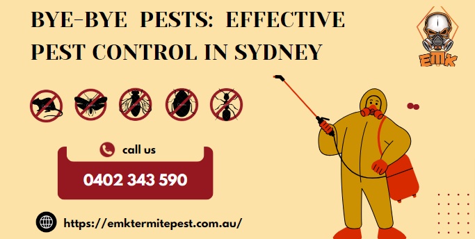 Effective Pest Control Solutions in Sydney: A Comprehensive Guide