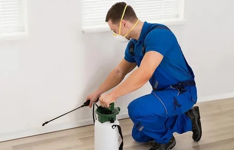 Tackling Pest Problems: The Key to Effective Pest Control Services in KL