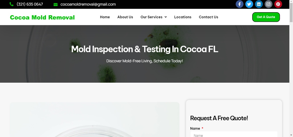 Expert Guide to Mold Testing in Cocoa Beach