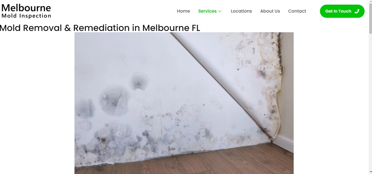 Complete Guide to Mold Testing in Melbourne