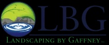 Learning About Professional Landscaping Costs and Benefits