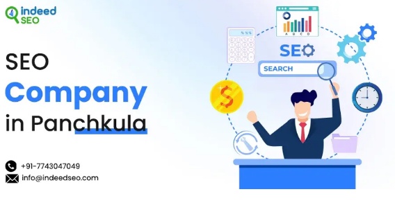 What Makes a Top SEO Agency in Panchkula Stand Out?