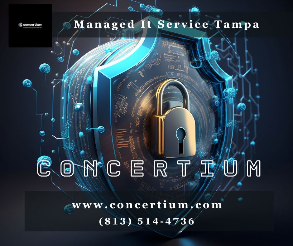 How IT Managed Services Enhance Business Efficiency in Tampa?