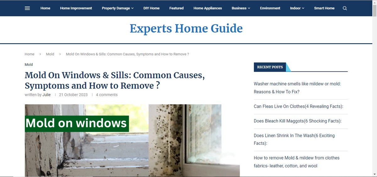 Eradicating Mold on Windows: A Comprehensive Guide