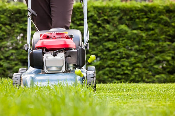 Revitalize Your Outdoor Space with Expert Lawn Clean Up Services