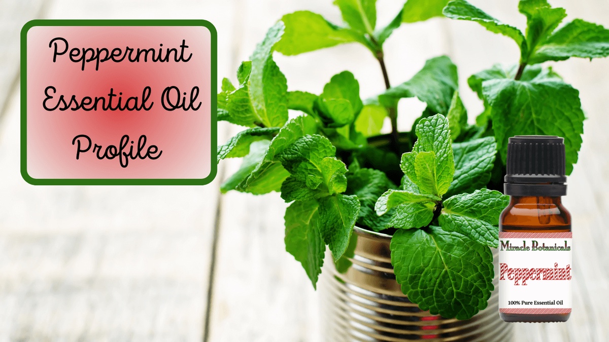 The Power of Peppermint Essential Oil: Benefits, Uses, and More