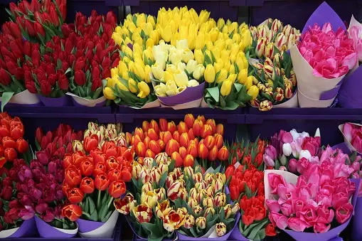 Effective Ways Of Choosing The Best Flowers In Dubai