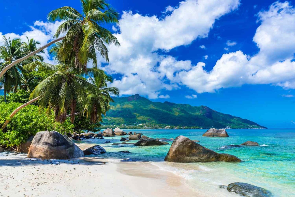 A Romantic Odyssey: Embarking on a Honeymoon Trip to Seychelles
