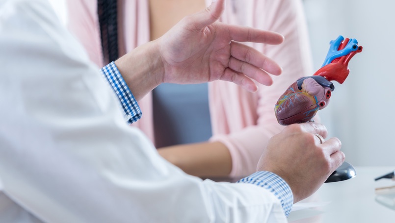 The Crucial Function of a Cardiology Specialist in Cardiovascular Health