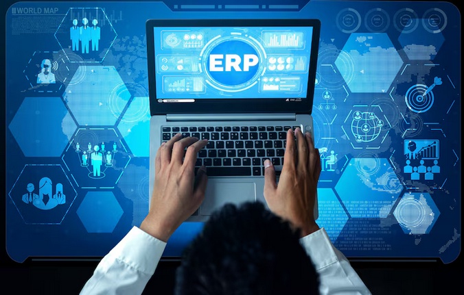 Efficiency Online: Navigating the World of Web-Based ERP