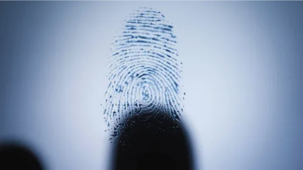 Unveiling the Hidden: Latent Patents and Plastic Fingerprints