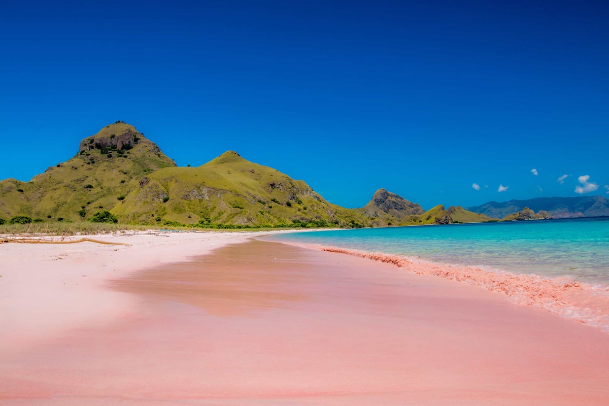 Komodo Island and its Pink Beach - Aqua Expeditions