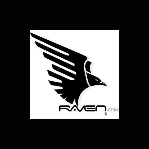 Welcome to Raven Computer Inc : Your Go-To for Computer Installation and Repair and the Best Surveillance Equipment