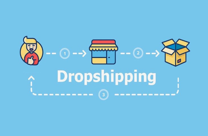 How to Select a Professional Dropshipping Website Theme