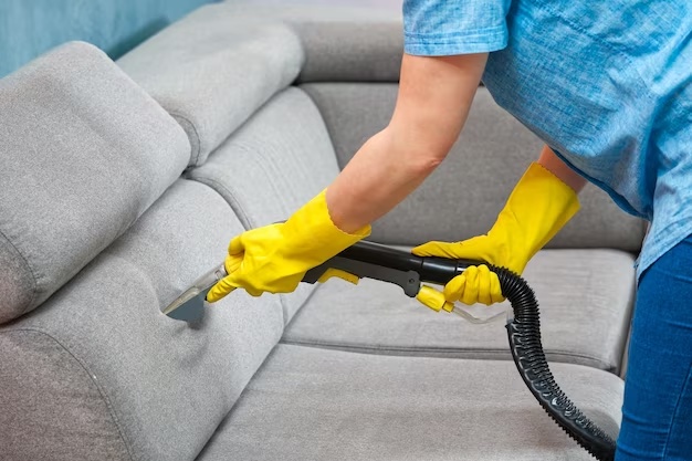 Choose The Professional And Best Furniture Cleaning Near Me