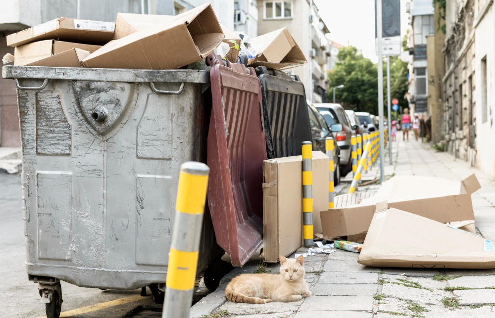 The Top 8 Reasons Why Professional Junk Removal is Worth It