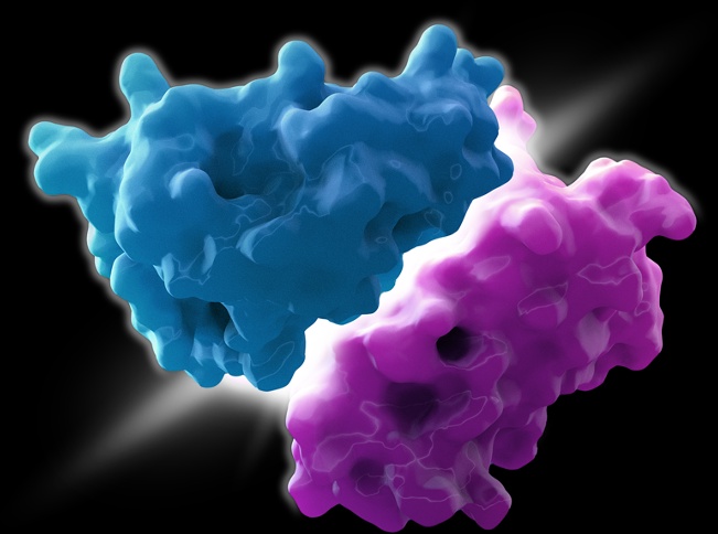 The Secrets of Protein-Protein Interactions: MAGNA™ Technology Revolutionizes Drug Discovery