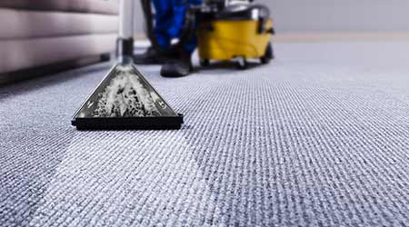 Explore The Best And Professional Carpet Cleaning Services